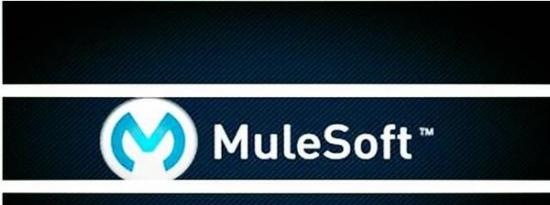 Mulesoft旨在使非开发人员更易于创建数据集成 即插即用 和API