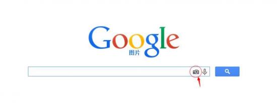 Google搜索删除与选举相关的自动完成功能 确保提供高质量的信息