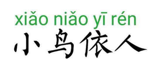  科普下成语小鸟依人是什么意思及小鸟依人近义词是什么