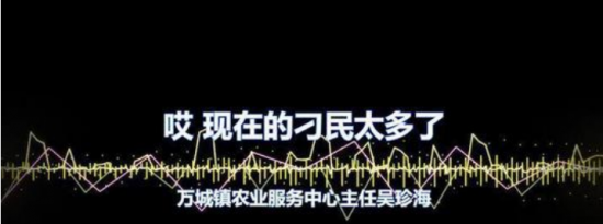 海南一干部直播称刁民太多 官方回应来了