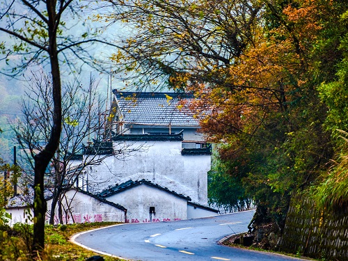  黄山218自驾风景道.jpg