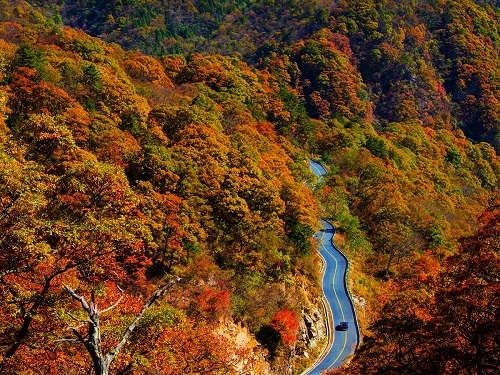 大别山风景道.jpg