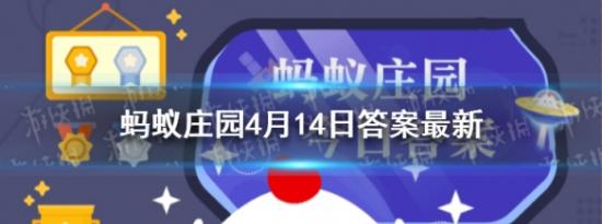 支付宝小鸡问答：每年农历三月三壮族同胞通常会制作什么特色美食庆祝