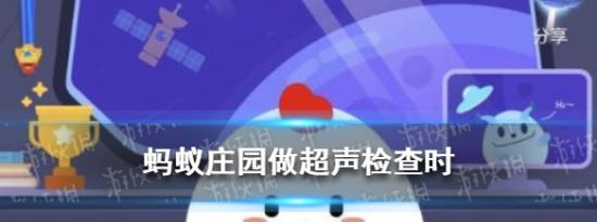 支付宝小鸡问答：超声检查蚂蚁庄园