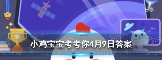 支付宝小鸡问答：小鸡宝宝考考你做超声检查时,医生为什么要在患者肚子上涂粘粘的东西