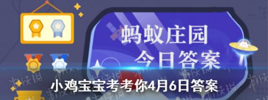 支付宝小鸡问答：小鸡宝宝考考你俗话说高枕无忧那选购枕头是越高越好吗