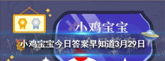 支付宝小鸡问答：刚出炉的面包为保持最佳口感如何保存比较好