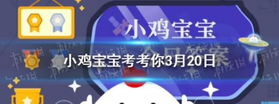 支付宝小鸡问答：小鸡宝宝考考你为什么不要往下水井扔鞭炮