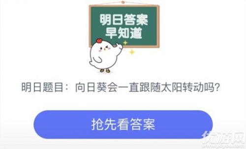 蚂蚁庄园8月18日每日一题答案 向日葵会一直跟着太阳的方向转来转去吗？