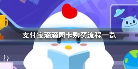 支付宝滴滴周卡怎么买 支付宝滴滴周卡购买流程一览