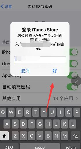 前沿科技:科普iPhone添加日文输入法教程及iPhone XS max每次下载软件都要输入密码怎么办