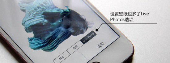 前沿科技:教你苹果iPhone7关闭Live Photos方法及苹果iPhone7 plus显示无服务解决方法