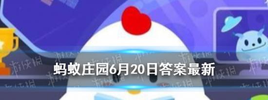 今日蚂蚁庄园问答：小鸡答题有些市面上的无糖饮料为什么喝起来还是甜的6.20