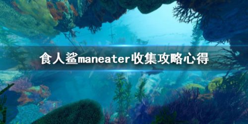 游戏动态：食人鲨maneater全收集玩法攻略 食人鲨新手全收集技巧